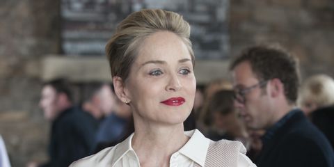 Sharon Stone va produce si va juca intr-un thriller despre restituirea unui tablou furat de nazisti